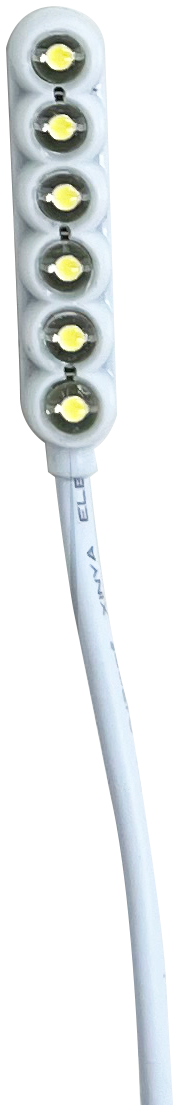 DS-6L