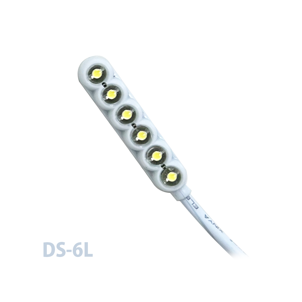 DS-6L
